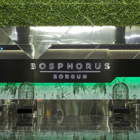Готель Bosphorus Sorgun