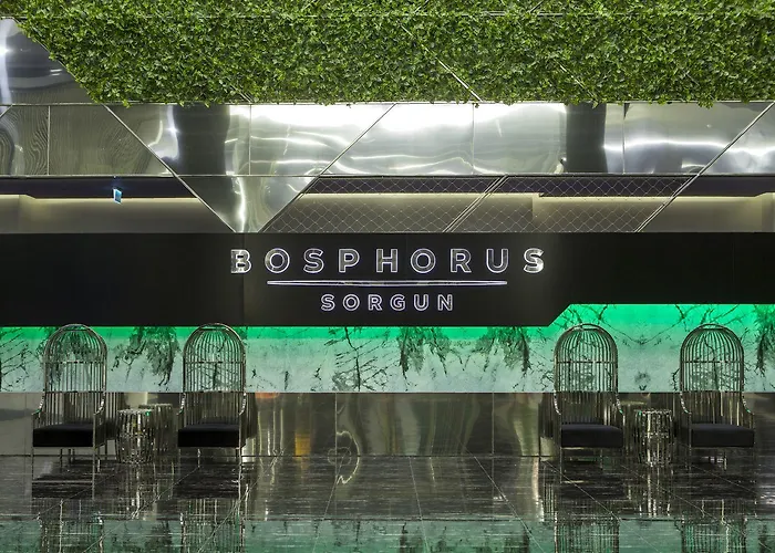 酒店 Bosphorus Sorgun