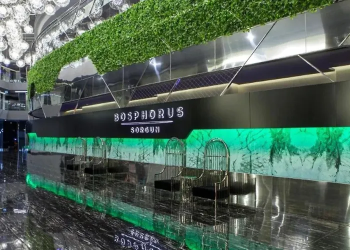酒店 Bosphorus Sorgun 锡德